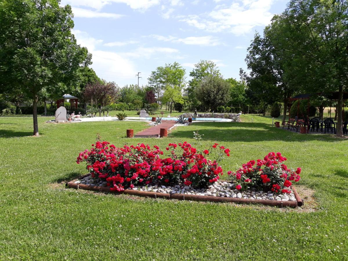 Dogana Vecchia - Hotel & Residence B&B Ristorante & Pizzeria Trivignano Udinese Bagian luar foto