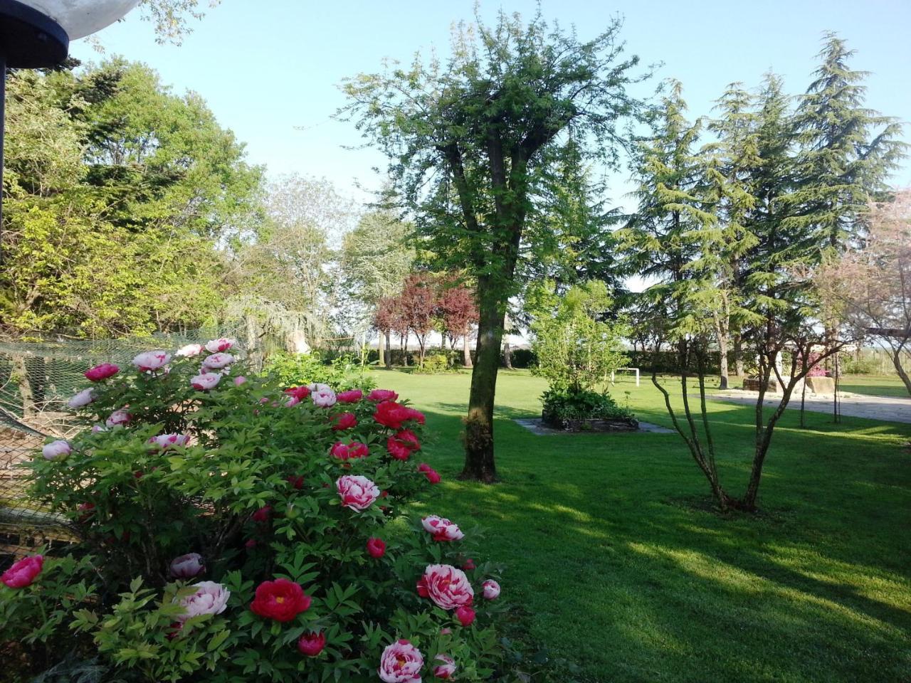 Dogana Vecchia - Hotel & Residence B&B Ristorante & Pizzeria Trivignano Udinese Bagian luar foto